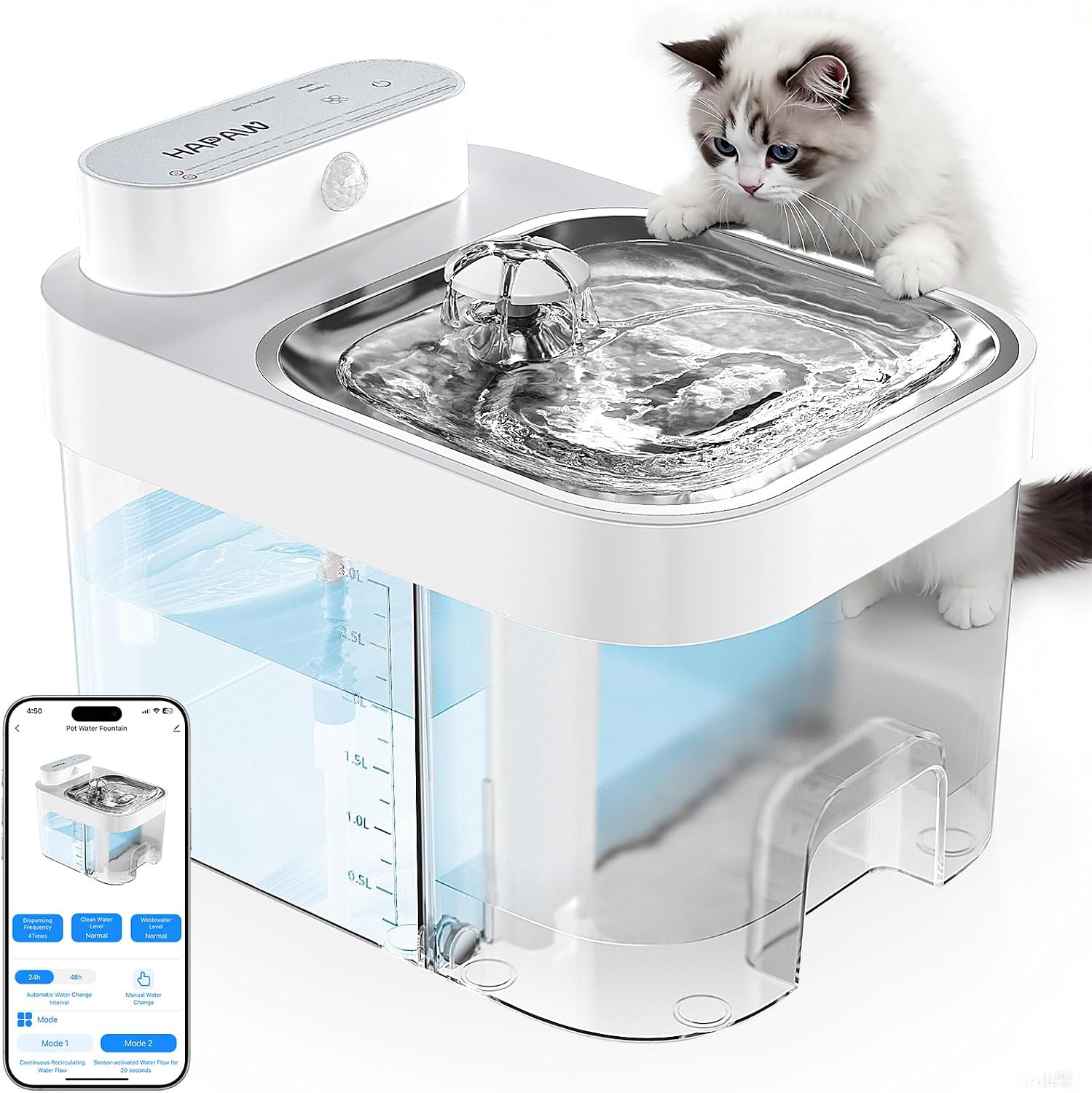 Smart Hydration for Cats