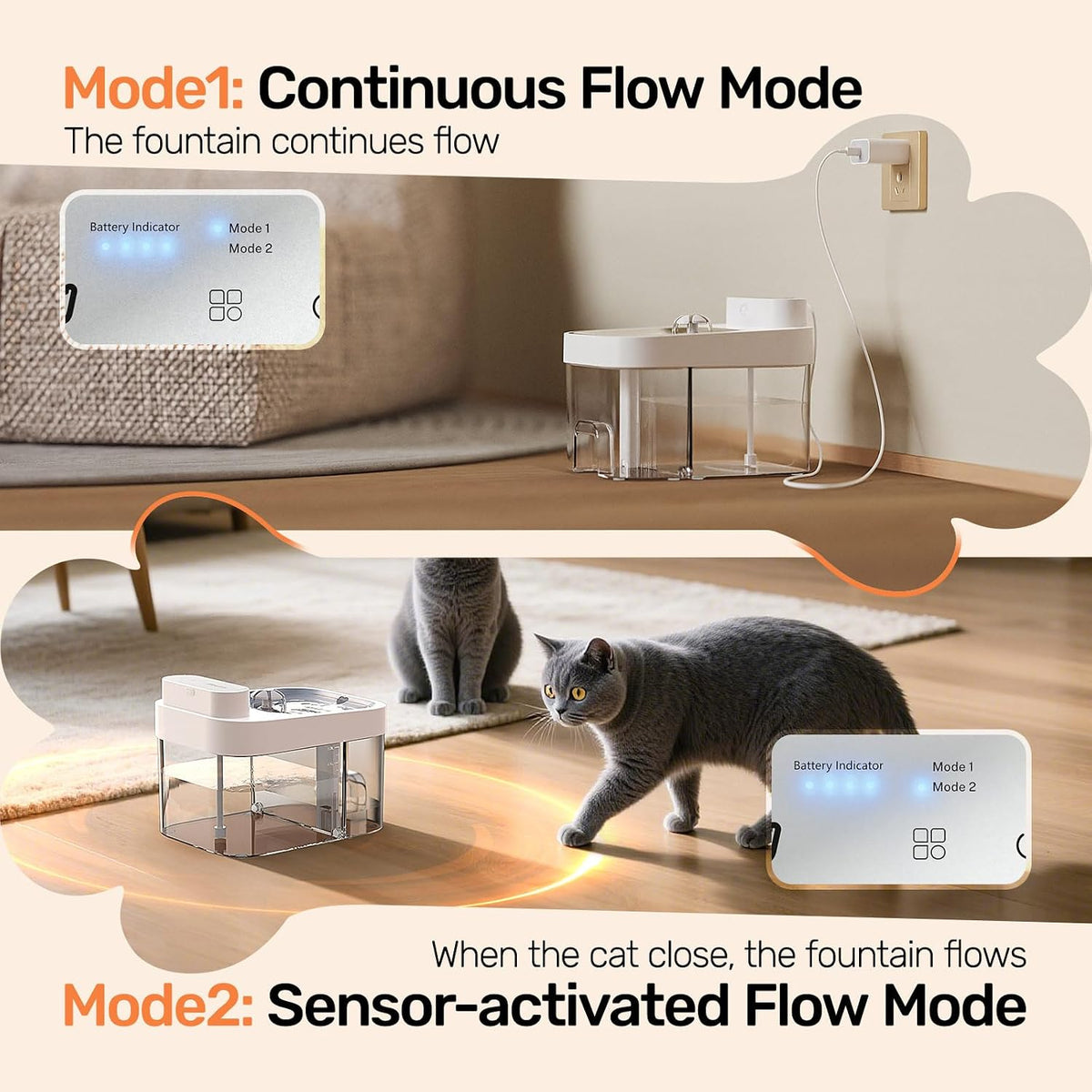 Smart Hydration for Cats