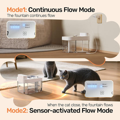 Smart Hydration for Cats